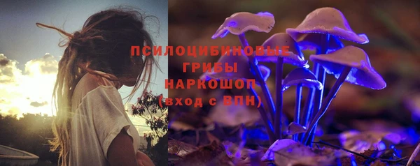 молекула духа Абинск
